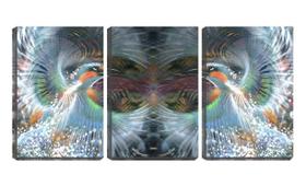 Quadro Decorativo 30x66 duas fênix abstrato mandala