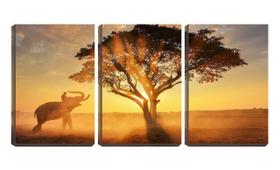 Quadro Decorativo 30x66 elefante perto de árvore ao sol