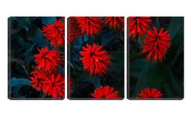 Quadro Decorativo 30x66 espiga de flores vermelhas
