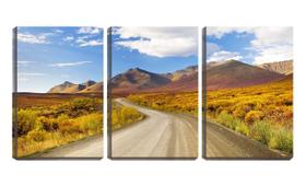 Quadro Decorativo 30x66 estrada de terra para o vale