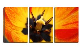 Quadro Decorativo 30x66 flor interior macro - Crie Life