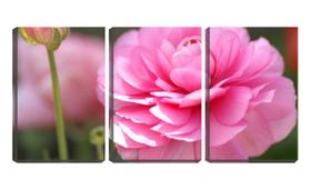 Quadro Decorativo 30x66 o desabrochar da flor rosa