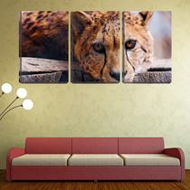 Quadro Decorativo 30x66 olhar triste de guepardo