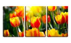 Quadro Decorativo 30x66 raios de sol nas tulipas vermelhas