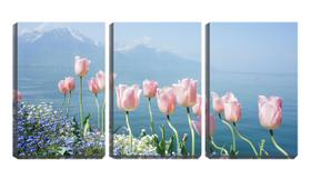 Quadro Decorativo 30x66 tulipas na montanha