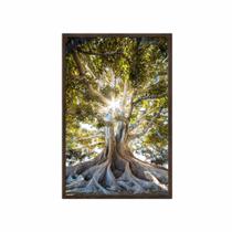 Quadro decorativo 40x60cm canvas arvore da vida raizes sol natureza flnt104