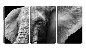 Quadro Decorativo 45x96 cabeça de elefante fundo preto