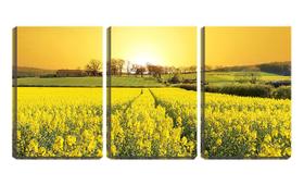 Quadro Decorativo 45x96 campo de flores amarelas