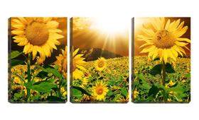 Quadro Decorativo 45x96 campo de girassóis sob sol