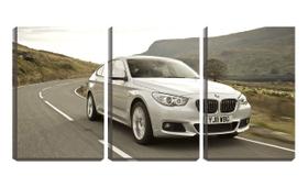 Quadro Decorativo 45x96 carro bmw prata na estrada