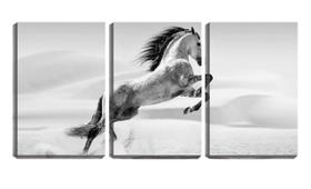 Quadro Decorativo 45x96 cavalo malhado no deserto