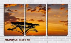 Quadro Decorativo 45x96 céu dourado na áfrica