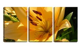Quadro Decorativo 45x96 flor amarela aberta