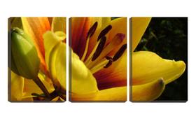 Quadro Decorativo 45x96 flor amarela interior