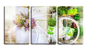 Quadro Decorativo 45x96 flores na bicicleta retrô