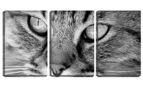 Quadro Decorativo 45x96 olho de gato peludo pb