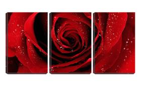 Quadro Decorativo 45x96 pingos de chuva na flor vermelha