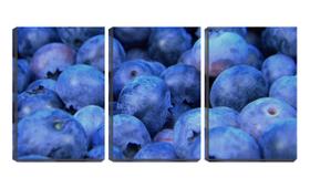Quadro Decorativo 45x96 sementes e frutos violetas