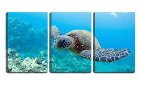 Quadro Decorativo 45x96 tartaruga no fundo do mar