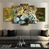 quadro decorativo 5 peças modelo filhote onca