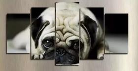 quadro decorativo 5 telas Cachorro Pug"