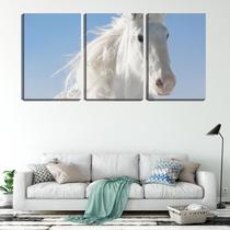 Quadro Decorativo 55x110 crinas de cavalo branco