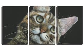 Quadro Decorativo 55x110 gatinho curioso fundo preto