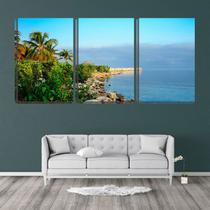 Quadro Decorativo 55x110 mata e coqueiros na praia