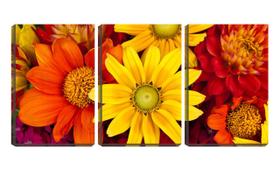 Quadro Decorativo 55x110 pétalas coloridas de flores