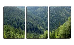Quadro Decorativo 55x110 pinheiros sobre montanhas