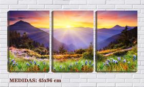 Quadro Decorativo 55x110 raios de sol nas flores