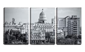 Quadro Decorativo 55x110 tetos de havana pb - Crie Life