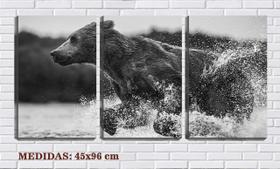 Quadro Decorativo 55x110 urso correndo na água pb