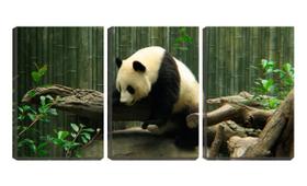 Quadro Decorativo 55x110 urso panda na floresta
