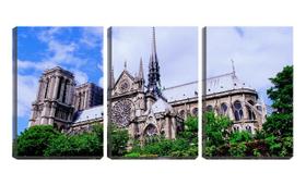 Quadro Decorativo 55x110 vista catedral de notre dame - Crie Life