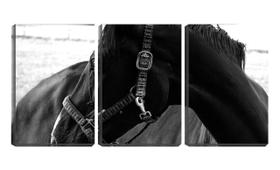 Quadro Decorativo 55x110 vista de lado cavalo negro