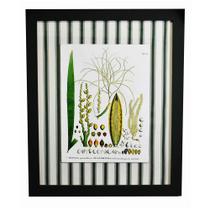 Quadro Decorativo 63cm Botânico Desmoncus com Moldura/Tecido