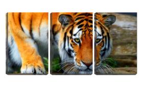 Quadro Decorativo 68x126 bigodes de tigre asiático