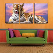 Quadro Decorativo 68x126 dentes grande de tigre deitado