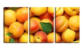 Quadro Decorativo 68x126 diversas frutas amarelas