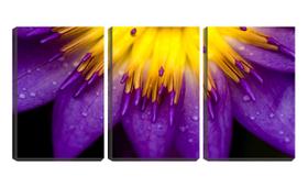 Quadro Decorativo 68x126 gotas na flor violeta