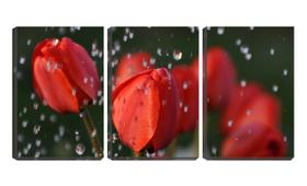 Quadro Decorativo 68x126 pingos de chuva nas flores