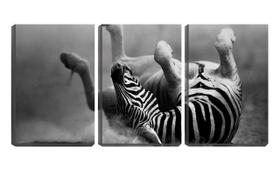 Quadro Decorativo 68x126 zebra de pernas pro ar pb