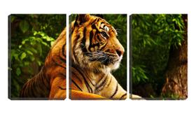 Quadro Decorativo 80x140 bigode de tigre sentado