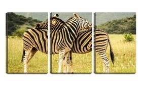 Quadro Decorativo 80x140 duas zebras se coçando