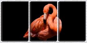 Quadro Decorativo 80x140 flamingo ao fundo preto