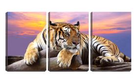 Quadro Decorativo 80x140 olhar atento de tigre asiático