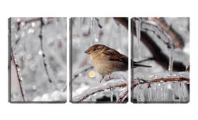 Quadro Decorativo 80x140 pássaro entre gelo de inverno