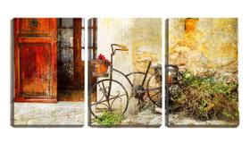 Quadro Decorativo 80x140 vaso de flor em bicicleta vintage