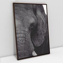 Quadro Decorativo A Face do Elefante em tela Canvas Quadro Decorativo A Face do Elefante em tela Canvas